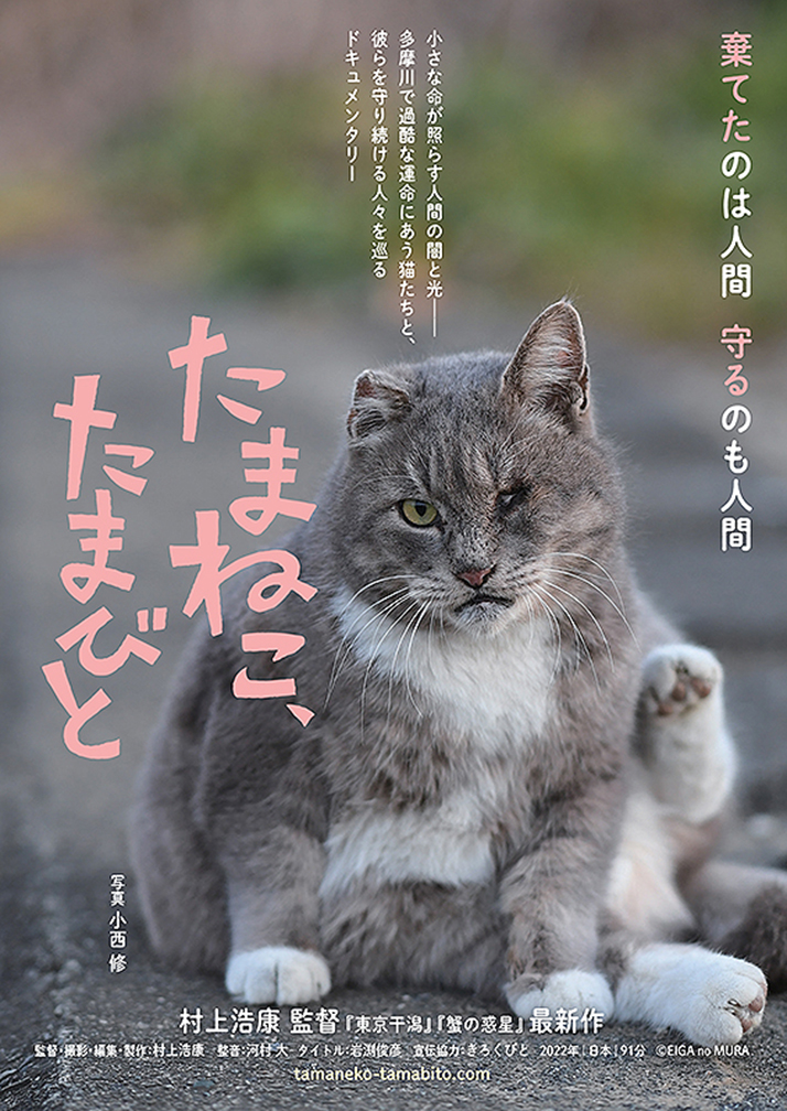 第七藝術劇場/作品/たまねこ、たまびと