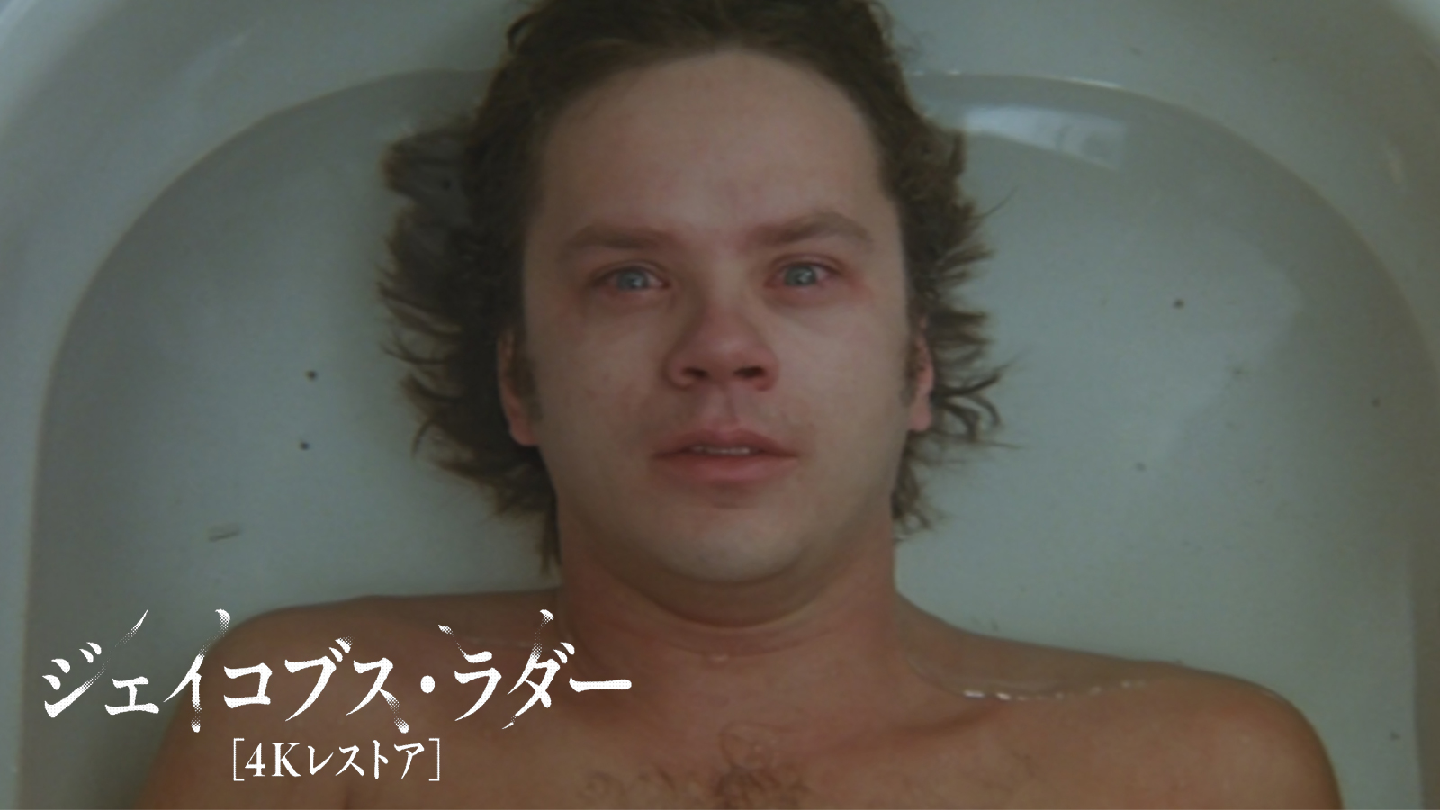 ジェイコブス・ラダー